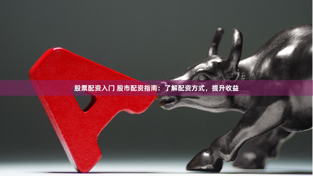 股票配资入门 股市配资指南：了解配资方式，提升收益