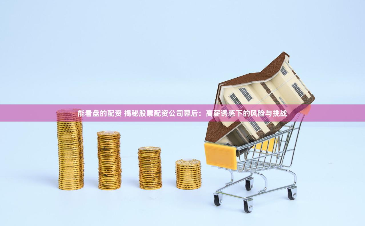能看盘的配资 揭秘股票配资公司幕后：高薪诱惑下的风险与挑战